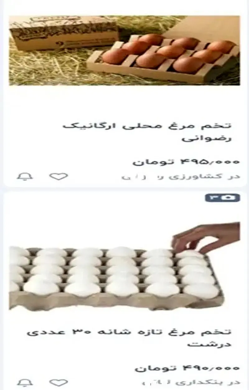 قیمت تخم مرغ