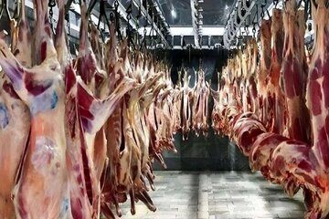 لیست قیمت گوشت قرمز امروز 7 خرداد | گوشت چرخ کرده چقدر گران شد؟
