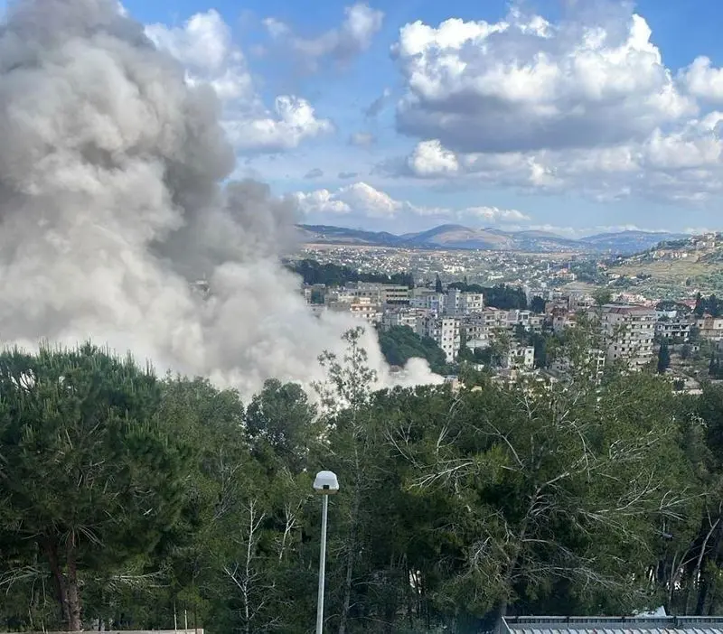 نبطیه لبنان