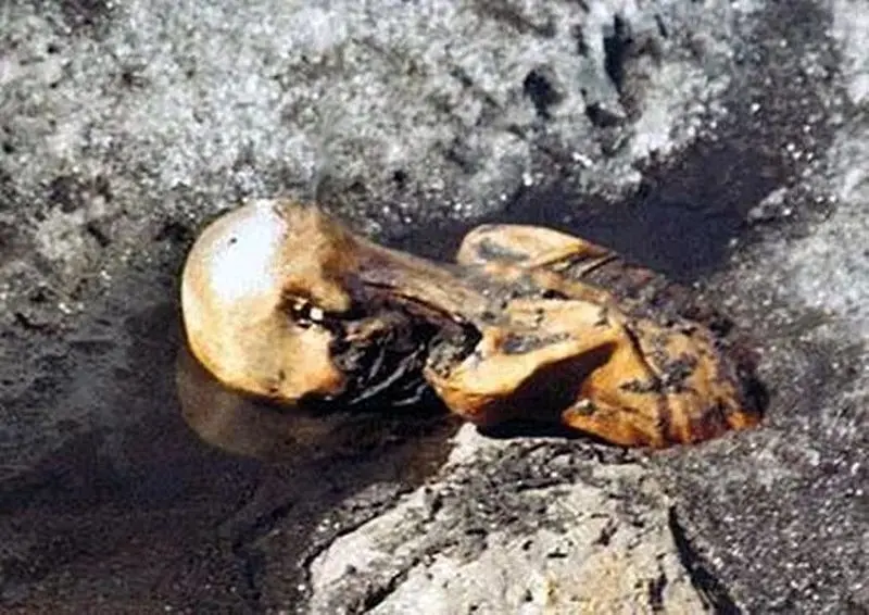 مرد یخی