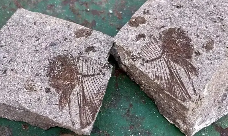 5354297