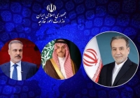 جزییات گفتگوی عباس عراقچی با وزرای امور خارجه ترکیه و عربستان