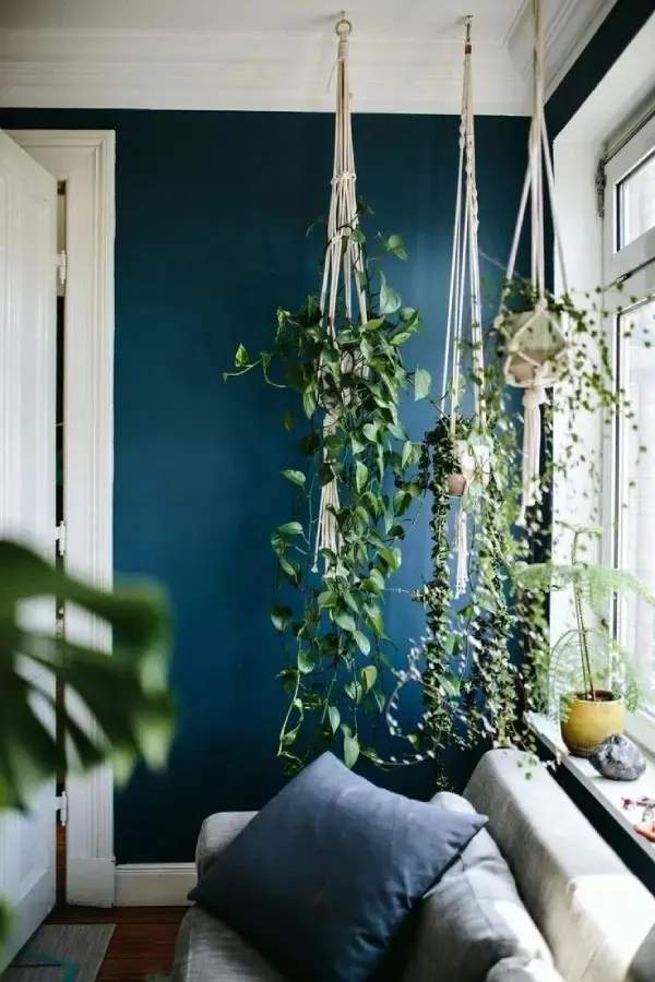 Hanging-plants-1_11zon