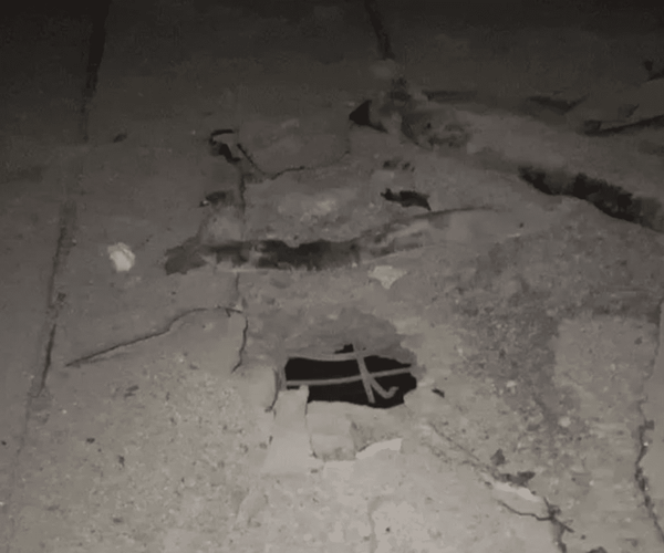جنایت جنگی در سیریک