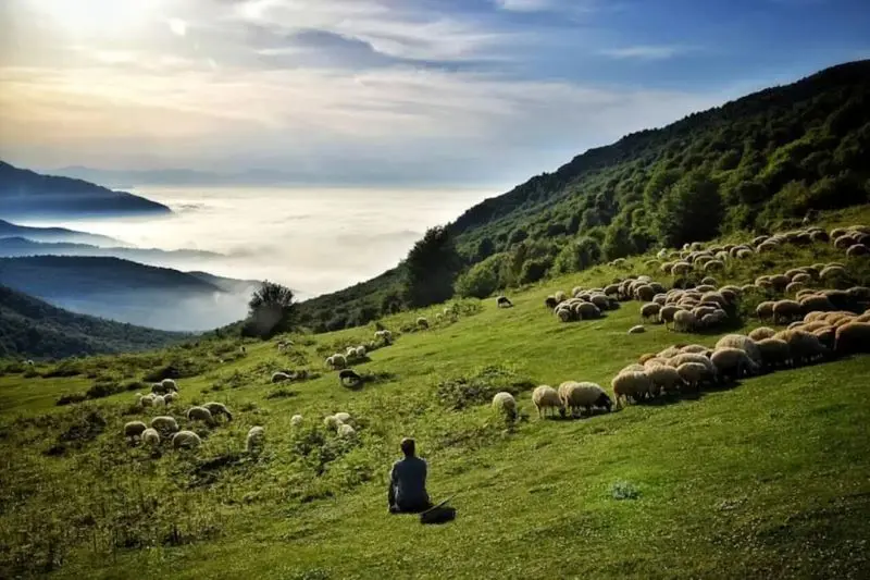 دیلمان