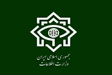 وزارت اطلاعات هسته 4 نفره تروریستی-تکفیری را منهدم کرد