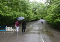 رگبار و رعدوبرق در ۸ استان نوار شمالی کشور