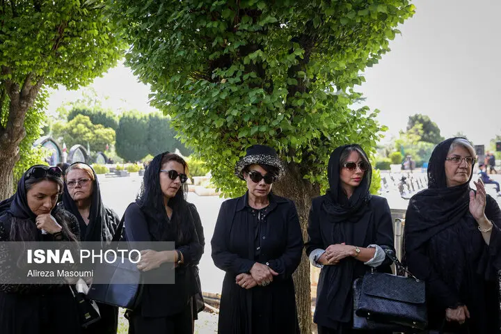 بهروز رضوی
