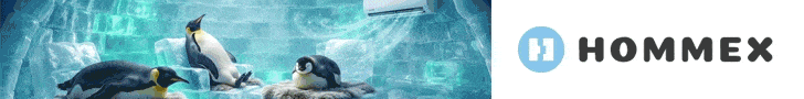هومکس