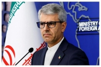 بقایی خواستار صیانت از مسجدالاقصی شد