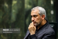 مدنی‌زاده: برخی شرکت‌های بیمه با مشکلات مالی مواجه‌اند