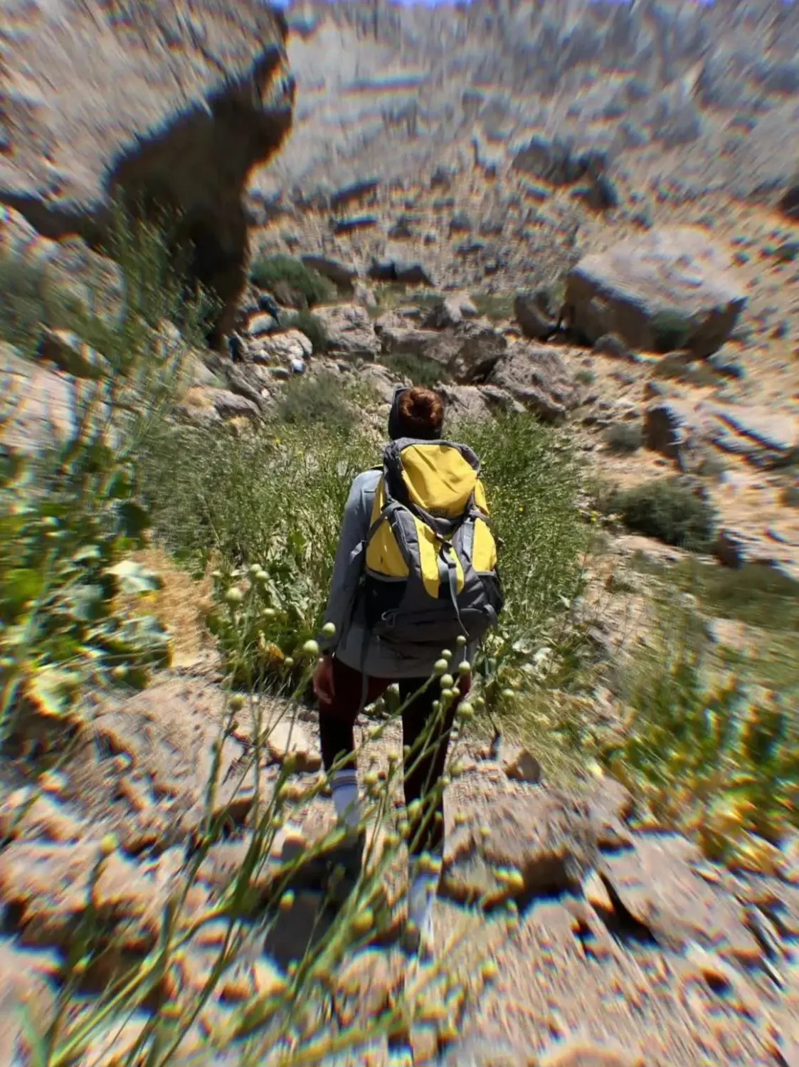 Screenshot_20260712_105018_Chrome