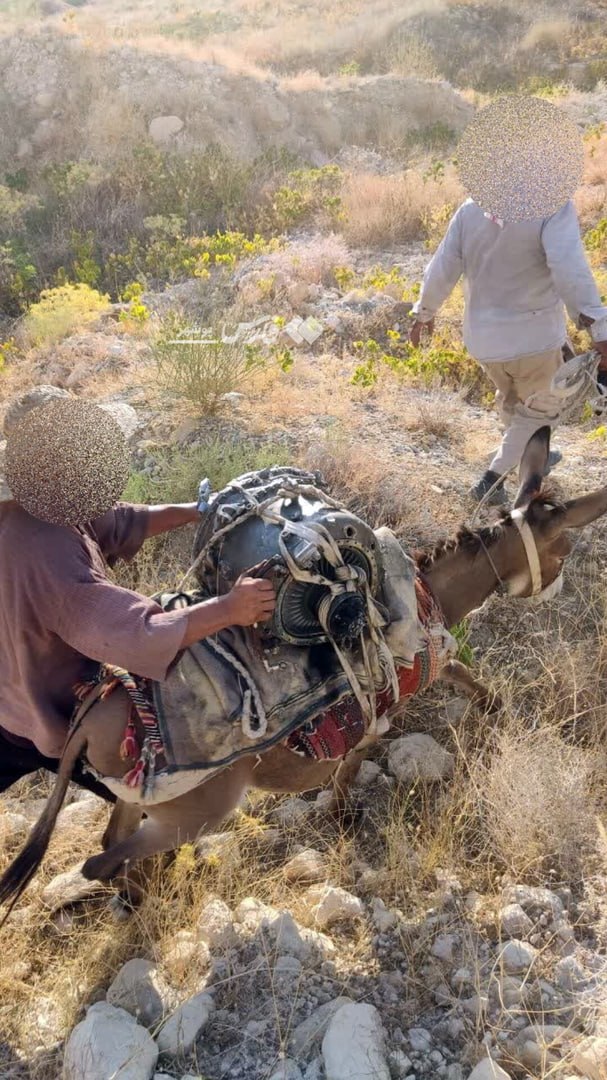 پهپاد آمریکایی در عسلویه