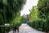 کاهش دمای هوا از فردا