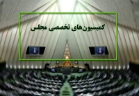 بررسی ساماندهی نیروهای شرکتی در مجلس