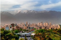 نباید در تهران کاج می‌کاشتیم!/ یک تصمیم اشتباه برای اکوسیستم پایتخت