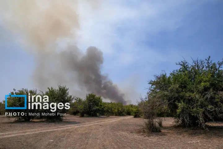میانکاله