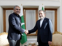 دیدار وزیر کشور پاکستان با عراقچی +عکس
