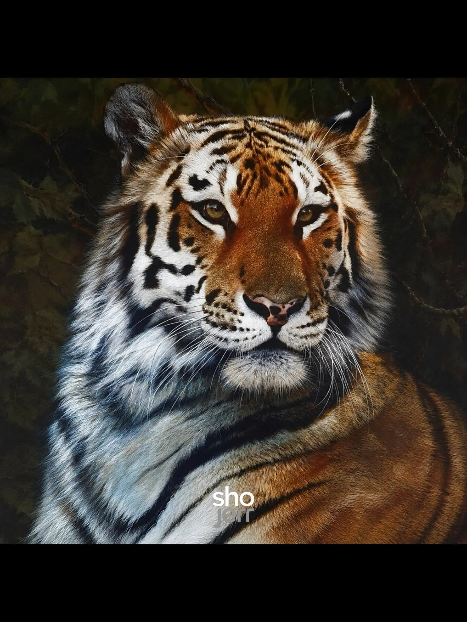 کارل برندرز