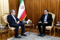 دیدار سفیر ایران نزد سازمان همکاری اسلامی با عراقچی