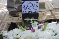 بدرقه هنرمندی بی‌ادعا؛ رد داریوش عیاری مثل تراشه‌ای از نور می‌ماند
